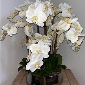 White orchids